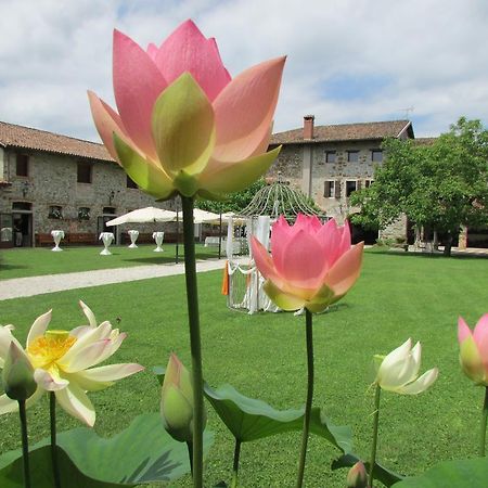 Agriturismo Il Vagabondo Buttrio Εξωτερικό φωτογραφία