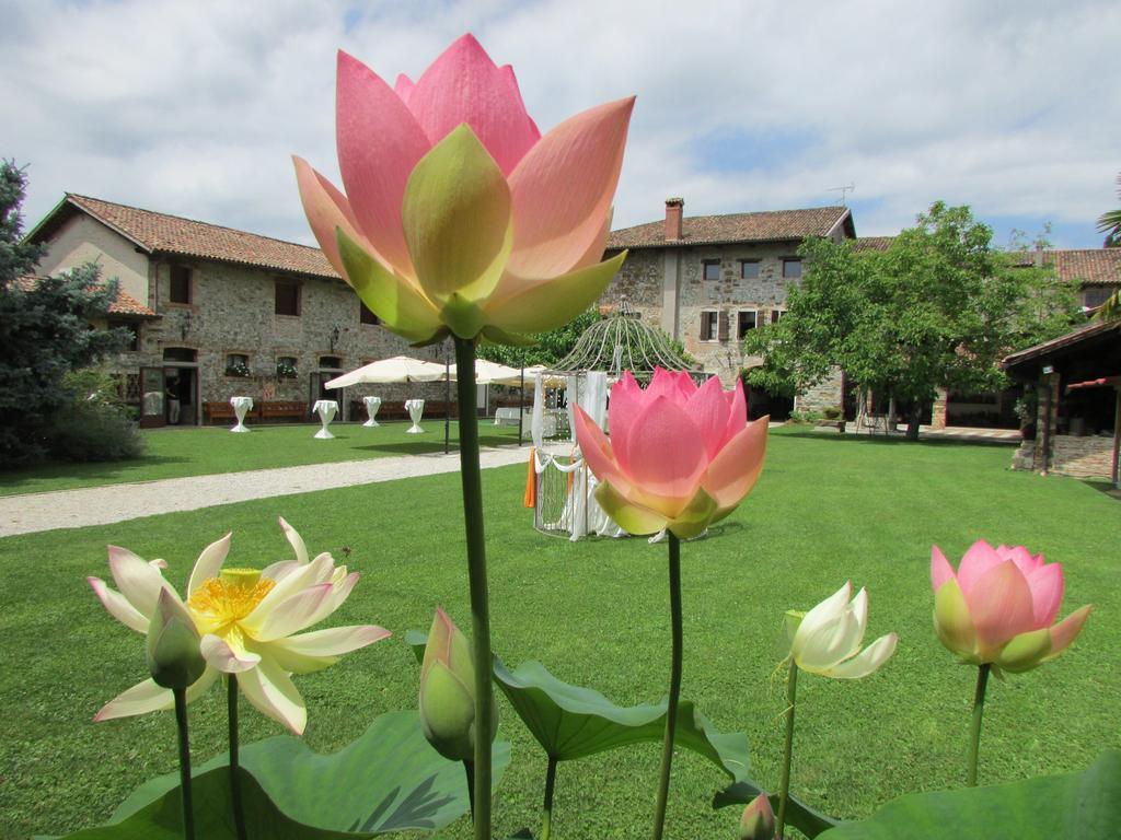 Agriturismo Il Vagabondo Buttrio Εξωτερικό φωτογραφία